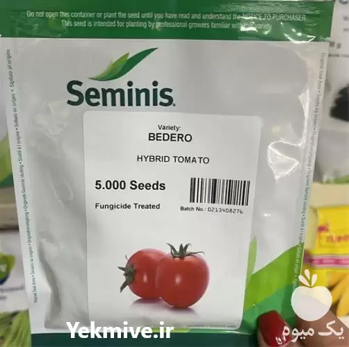 قیمت خرید بذر گوجه فرنگی بدرو در شیراز در گروه خرید و فروش بذر گوجه در یکمیوه -عکس1