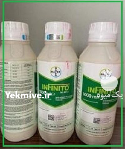 سم قارچ کش INFINITO بایر المان در اهواز در گروه خرید و فروش انواع سم در یکمیوه -عکس2