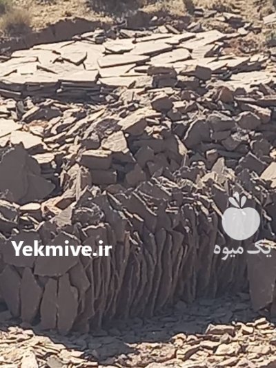 نصب سنگ کاری لاشه فروش انواع در گروه سازنده در یکمیوه -عکس3
