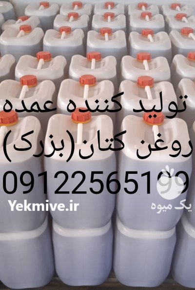 روغن های گیاهی در یزد در گروه خرید و فروش انواع روغن در یکمیوه -عکس3