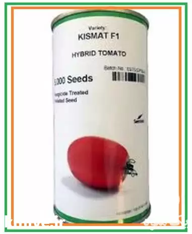 فروش بذر گوجه فرنگی کیش مات در گروه خرید و فروش بذر گوجه در یکمیوه -عکس1