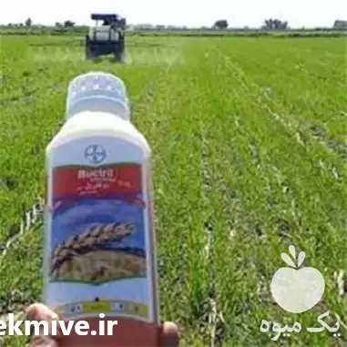 توزیع و فروش سم بوک تریل در گروه خرید و فروش انواع سم در یکمیوه -عکس1