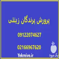 پرورش پرندگان زینتی قناری در تهران در گروه دوره آموزش کشاورزی در یکمیوه