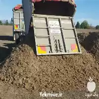 قیمت خرید پایین ترین قیمت کود در کرج در گروه خرید و فروش کود مرغی در یکمیوه