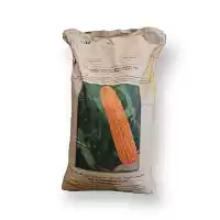 فروش قیمت بذر ذرت سینگل کراس در اهواز در گروه خرید و فروش بذر ذرت در یکمیوه