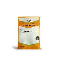 قیمت خرید بذر گوجه فرنگی 6216 سانسید در تبریز در گروه خرید و فروش بذر گوجه در یکمیوه