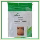 فروش بذر ملون نغم سمینیس NAGHAM در اهواز در گروه خرید و فروش بذر ملون در یکمیوه