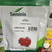 قیمت خرید بذر گوجه فرنگی بدرو در شیراز در گروه خرید و فروش بذر گوجه در یکمیوه