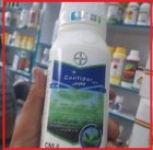 سم حشره کش Confidor بایر المان در گروه خرید و فروش انواع سم در یکمیوه
