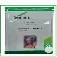 قیمت خرید بذر کلم پیچ رد در اصفهان در گروه خرید و فروش بذر صیفی جات در یکمیوه