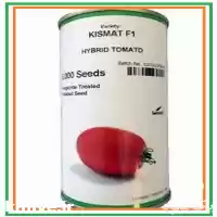 فروش بذر گوجه فرنگی کیش مات در گروه خرید و فروش بذر گوجه در یکمیوه