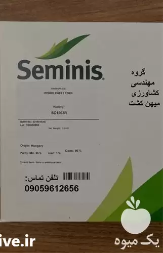 بذر ذرت شیرین 1263 سمینیس در همدان در گروه خرید و فروش بذر ذرت در یکمیوه -عکس1