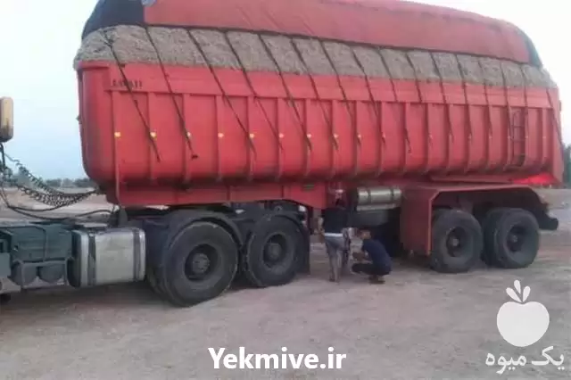 خرید فروش کاه نیشکر کاه باگاس در گروه خوراک دام و طیور در یکمیوه -عکس1