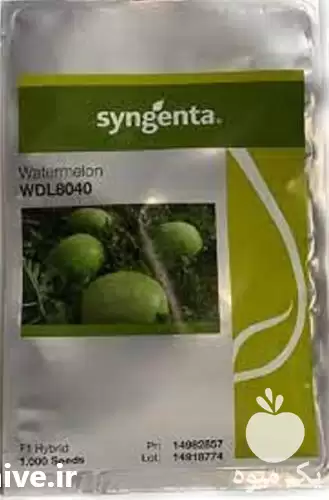 قیمت خرید بذر هندوانه 8040 در گروه خرید و فروش بذر هندوانه در یکمیوه -عکس1