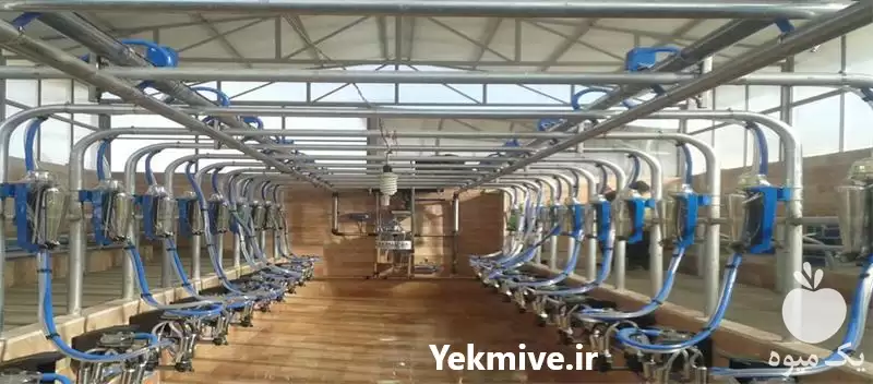 قیمت خرید شیردوش شیردوش سیار برقی در تهران در گروه تجهیزات دامداری در یکمیوه -عکس1