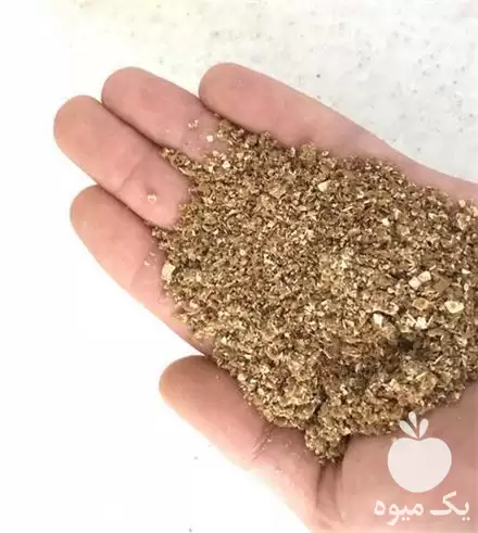 قیمت خرید پودر جوجه برای اردک در ساری در گروه خوراک شیلات و آبزیان در یکمیوه -عکس1