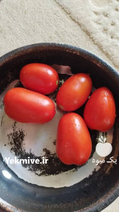 گوجه فرنگی بوته ای سوپر صادراتی در مراغه در گروه خرید و فروش گوجه فرنگی در یکمیوه -عکس2