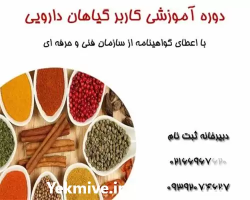 فروش آموزش خشک کردن گیاهان دارویی در تهران در گروه دوره آموزش کشاورزی در یکمیوه -عکس1