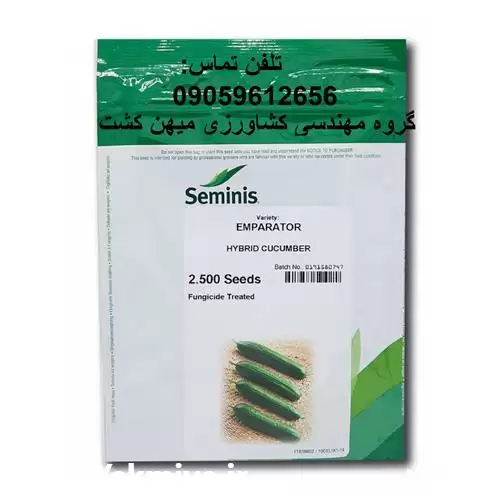 فروش بذر خیار درجه یک امپراطور در رشت در گروه خرید و فروش بذر خیار در یکمیوه -عکس1