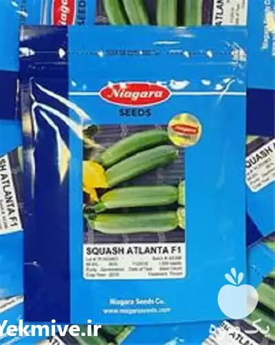 قیمت خرید قیمت بذر کدو آتلانتا در یزد در گروه خرید و فروش بذر کدو در یکمیوه -عکس1