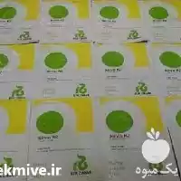 فروش بذر فلفل دلمه ای رکزوان در گروه خرید و فروش بذر فلفل در یکمیوه
