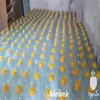 فروش عرقیات جهت مصارف درمانی طیور در اصفهان در گروه خرید و فروش انواع عرقیجات در یکمیوه