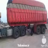 خرید فروش کاه نیشکر کاه باگاس در گروه خوراک دام و طیور در یکمیوه