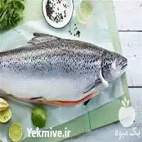 فروش عمده ماهی سالمون نروژی در گروه خرید و فروش انواع ماهی در یکمیوه