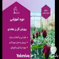 دوره آموزشی تولید و تکثیر رز در گروه دوره آموزش کشاورزی در یکمیوه
