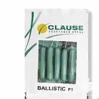 فروش بذر خیار بالستیک در مشهد در گروه خرید و فروش بذر خیار در یکمیوه