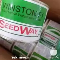 قیمت خرید بذر هندوانه وینستون در گروه خرید و فروش بذر هندوانه در یکمیوه