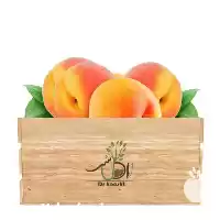 قیمت خرید عمده نهال هلو زعفرانی در تبریز در گروه خرید و فروش نهال در یکمیوه