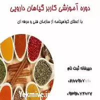 فروش آموزش خشک کردن گیاهان دارویی در تهران در گروه دوره آموزش کشاورزی در یکمیوه
