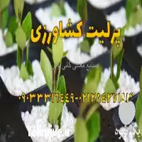 قیمت خرید پرلیت گلخانه کاربرد پرلیت در گروه خرید و فروش انواع کود کشاورزی در یکمیوه