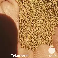 قیمت خرید قیمت بذر یونجه در تبریز در گروه خرید و فروش بذر یونجه در یکمیوه