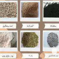 فروش کنجد انواع دانه های روغنی در تهران در گروه خرید و فروش دانه های روغنی در یکمیوه