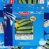 قیمت خرید قیمت بذر کدو آتلانتا در یزد در گروه خرید و فروش بذر کدو در یکمیوه