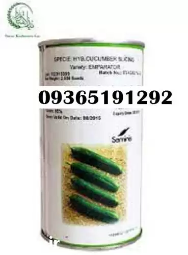 فروش بذر خیار امپراطور قیمت در مشهد در گروه خرید و فروش بذر خیار در یکمیوه -عکس1