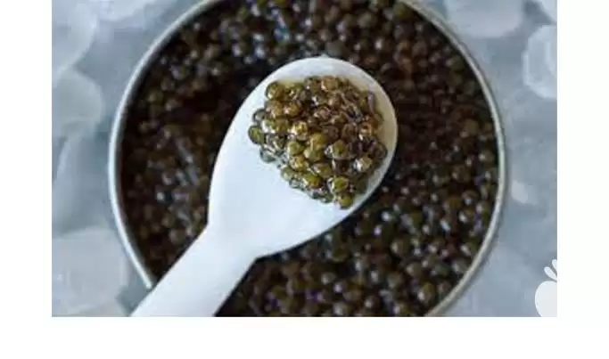 خرید انواع خاویار برداشت شده در گروه خرید و فروش انواع ماهی در یکمیوه -عکس1