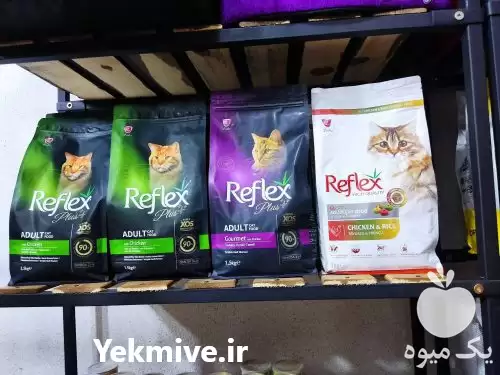 قیمت خرید پتشاپ آنلاین پت خونه در تهران در گروه سگ و گربه در یکمیوه -عکس1