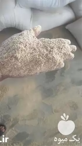 فروش سبوس گندم درجه یک تازه در ساری در گروه خرید و فروش گندم و جو در یکمیوه -عکس1