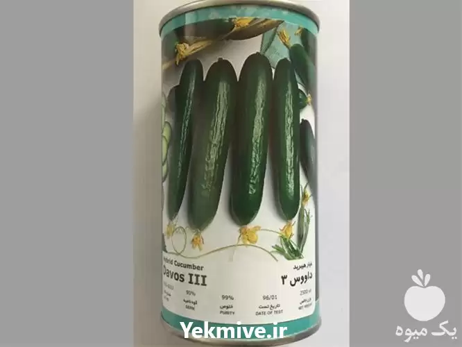 قیمت خرید توزیع بذر خیار زودرس در گرگان در گروه خرید و فروش بذر خیار در یکمیوه -عکس1