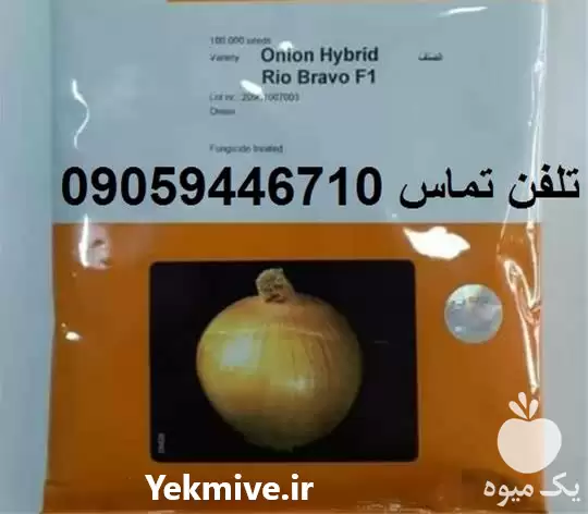 قیمت خرید بذر پیاز زرد ریوبراوو در کرمان  در گروه خرید و فروش بذر پیاز در یکمیوه -عکس1