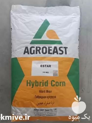 قیمت خرید بذر ذرت ای استار در شیراز در گروه خرید و فروش بذر ذرت در یکمیوه -عکس1