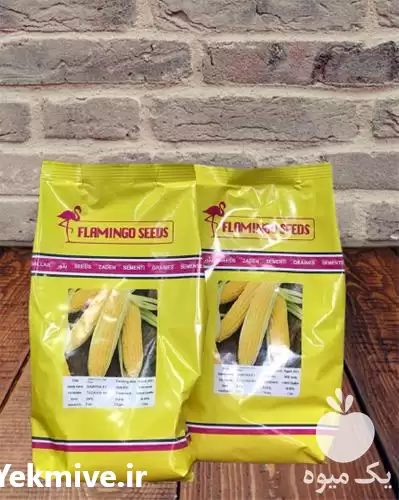 خرید فروش بذر ذرت سمیرا در گروه خرید و فروش بذر ذرت در یکمیوه -عکس1