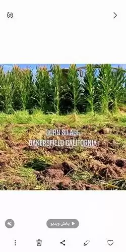 فروش چاپر یدک کلاس در گروه خرید و فروش چاپر در یکمیوه -عکس1