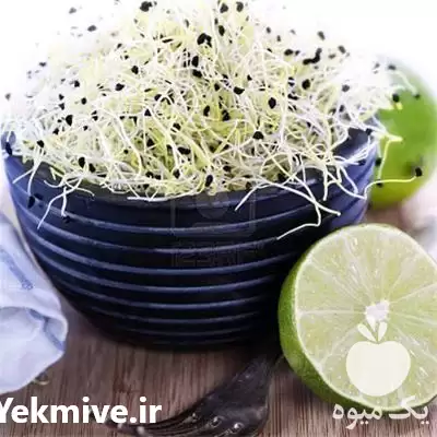 فروش ویژه دستگاه جوانه ساز رویشگر در گروه خرید و فروش دستگاه کشاورزی در یکمیوه -عکس1