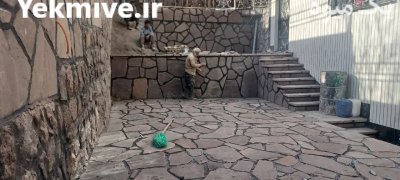 سنگ کوهی دماوند تهران پخش در پردیس در گروه سازنده در یکمیوه -عکس2