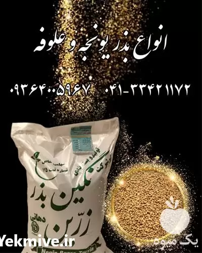 فروش بذر یونجه پایه بلند در اصفهان در گروه خرید و فروش بذر یونجه در یکمیوه -عکس1