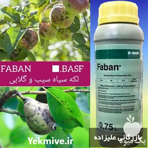 فروش قارچکش فابان باسف در ارومیه در گروه خرید و فروش انواع سم در یکمیوه -عکس1